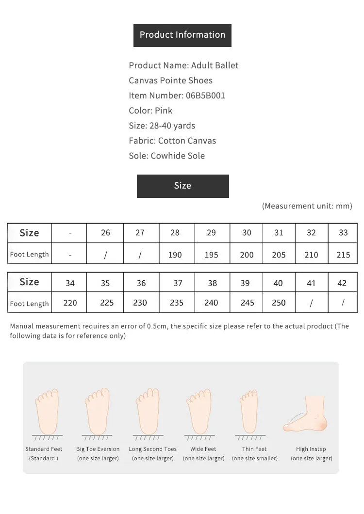 Ballet Canvas Pointe Shoes Dance Training Shoes
