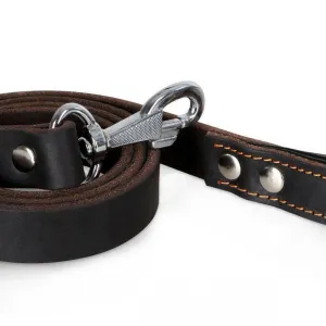 Latigo Leather Dog Leash-  (Limited Edition)