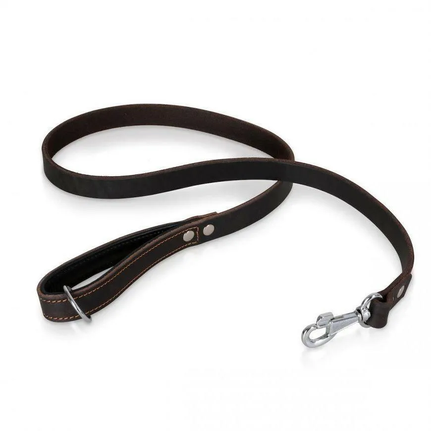 Latigo Leather Dog Leash-  (Limited Edition)