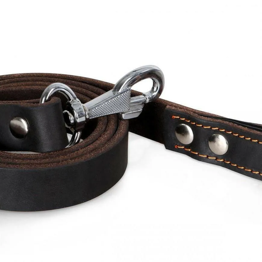 Latigo Leather Dog Leash-  (Limited Edition)