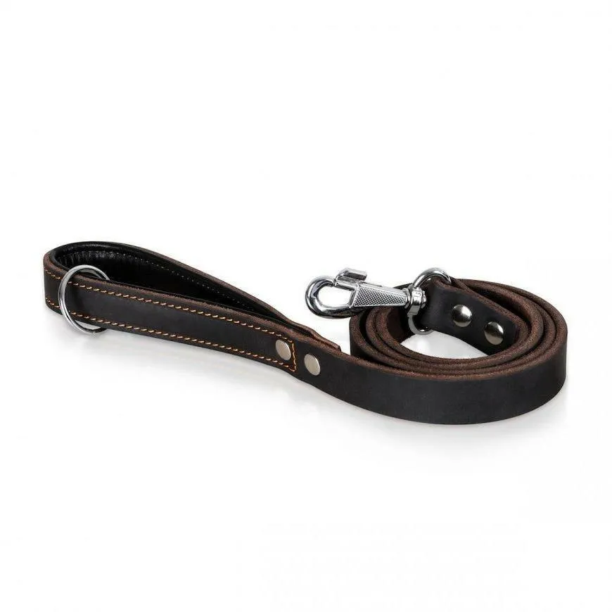 Latigo Leather Dog Leash-  (Limited Edition)